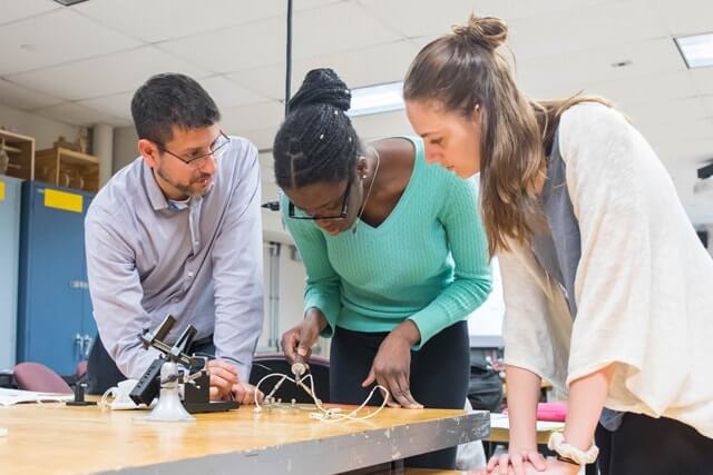 Faculty Mentors